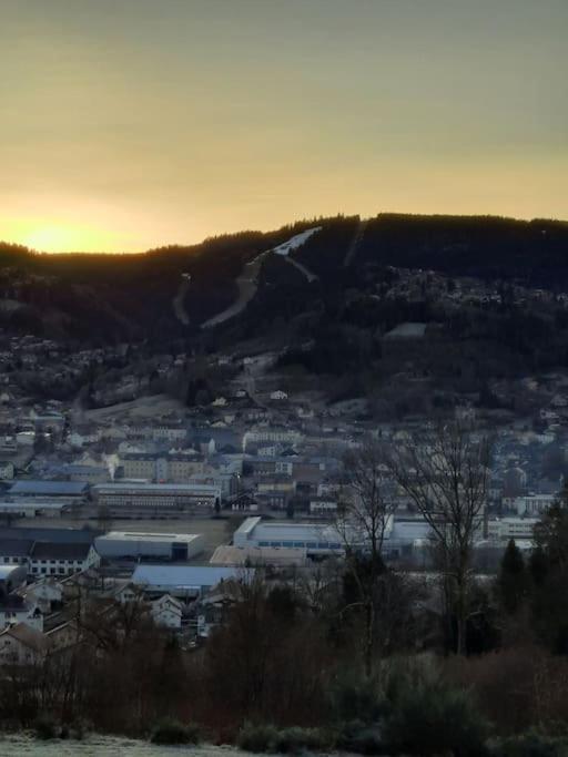 Appartement Residence Les Dryades Avec Vue Montagne Gérardmer Екстериор снимка